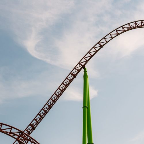 rollercoaster showing market forces